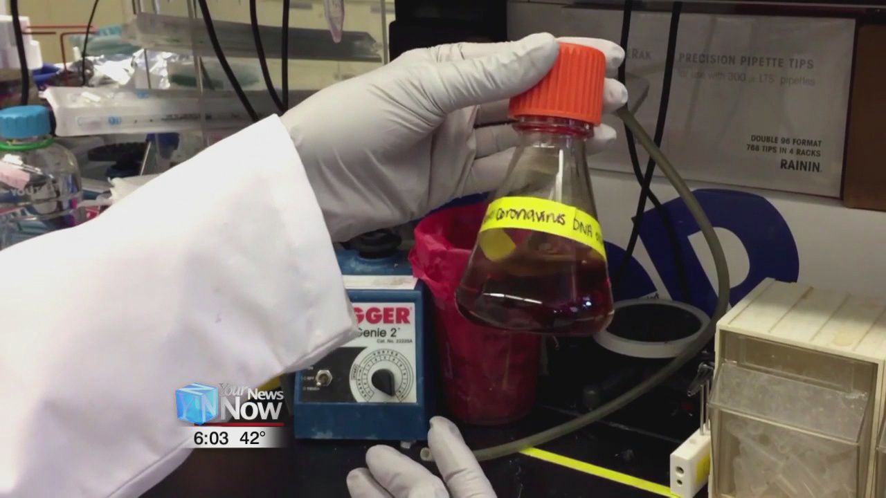Four ONU students and faculty member quarantined as a precaution for coronavirus